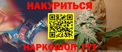 мяу мяу мука Аргун