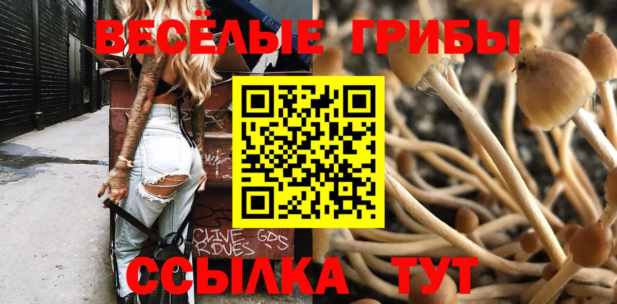 Галлюциногенные грибы ЛСД Будённовск