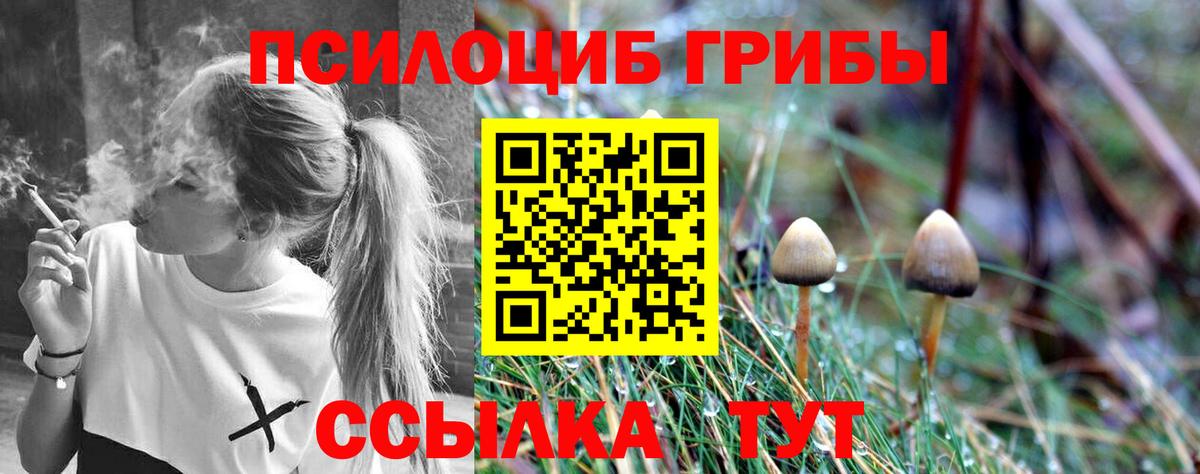 Галлюциногенные грибы мицелий  Вход с VPN  Будённовск 